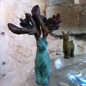 Anima #004